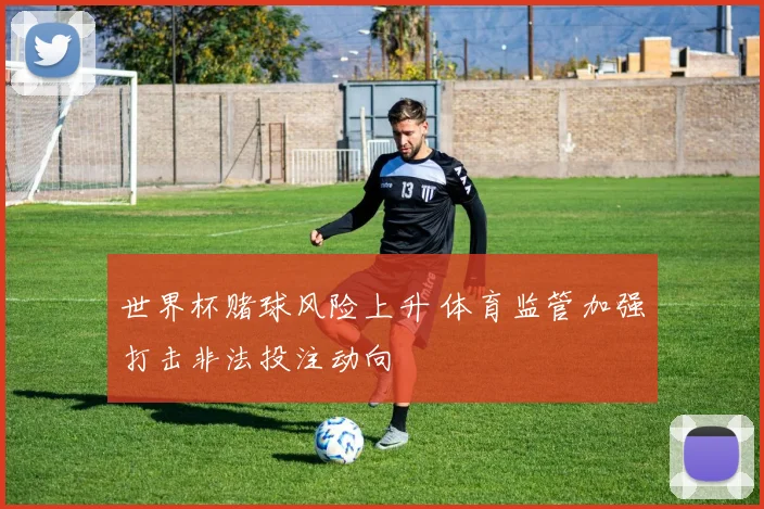 世界杯赌球风险上升 体育监管加强打击非法投注动向