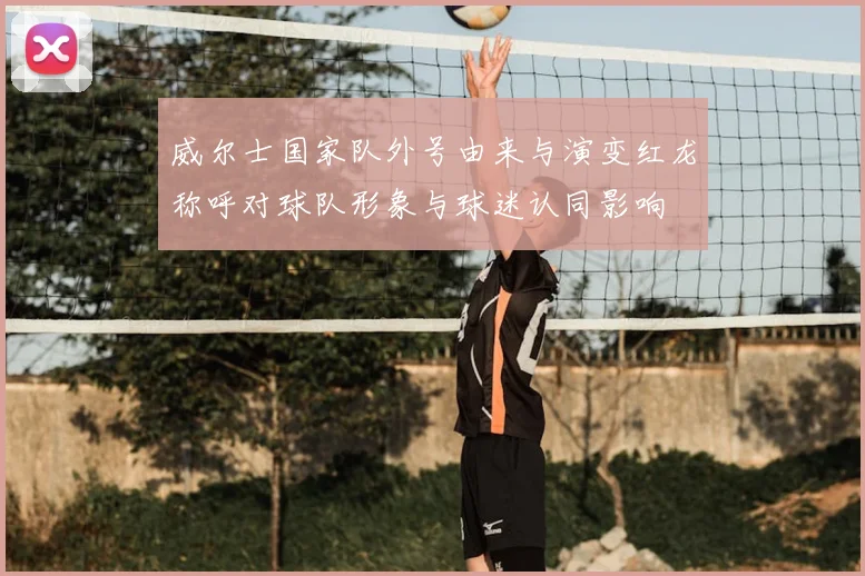 威尔士国家队外号由来与演变红龙称呼对球队形象与球迷认同影响