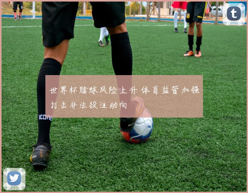 世界杯赌球风险上升 体育监管加强打击非法投注动向